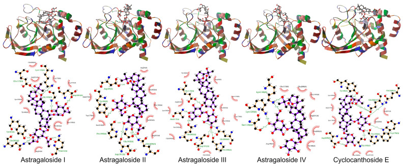Figure 6