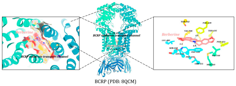 Figure 6
