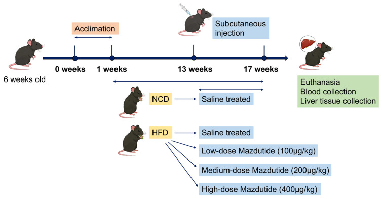 Figure 11