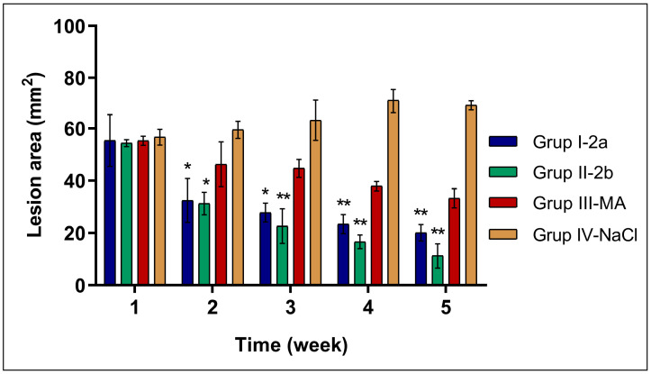 Figure 4