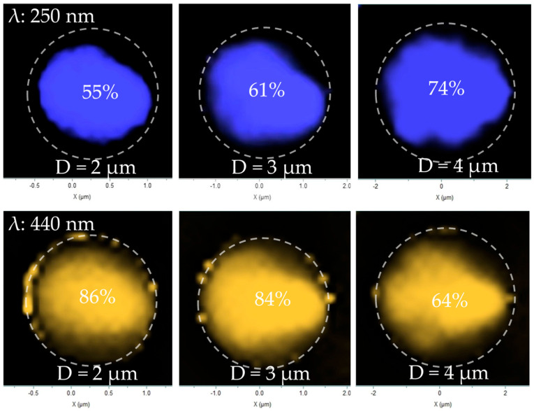Figure 10