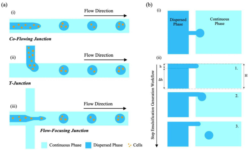 Figure 21