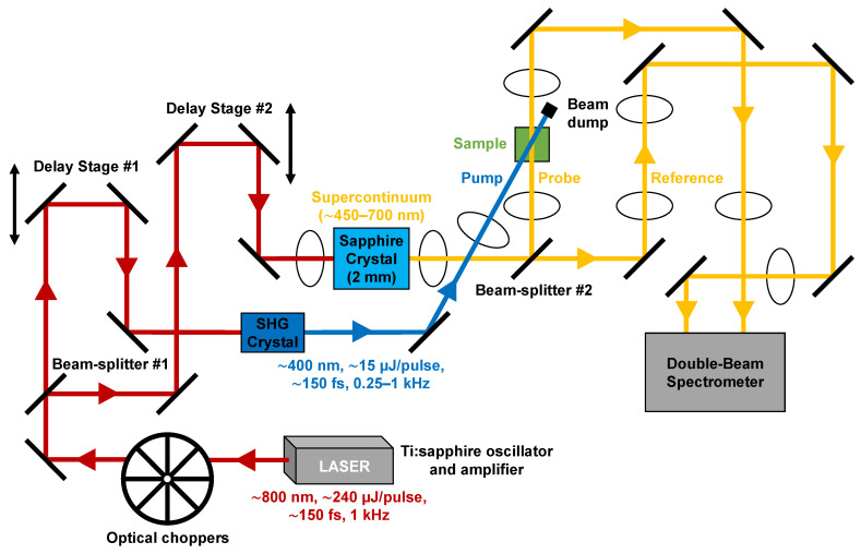Figure 2