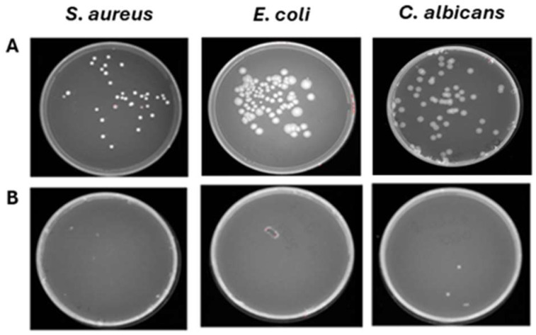 Figure 9