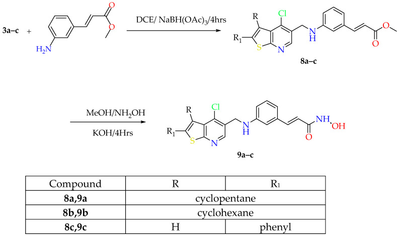 Scheme 2