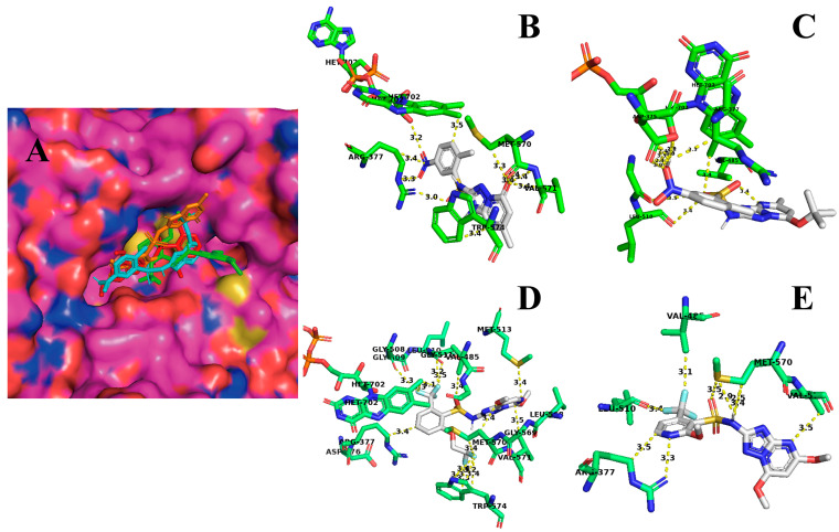 Figure 7