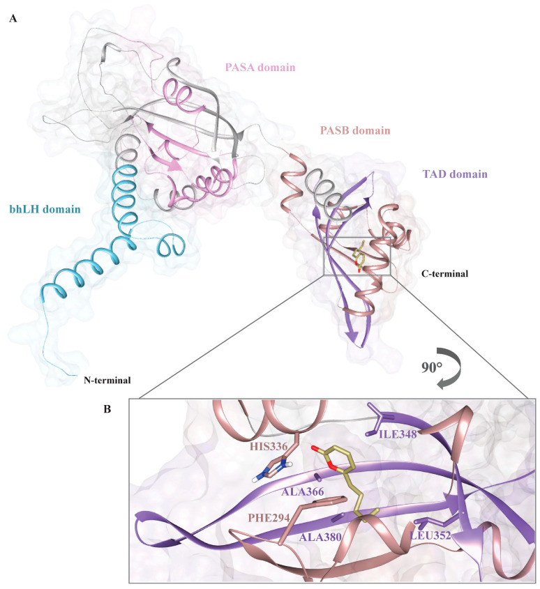 Figure 11