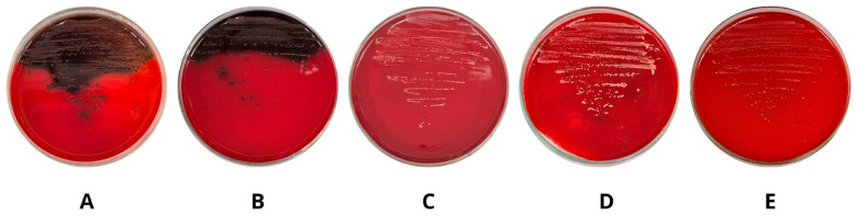 Figure 5