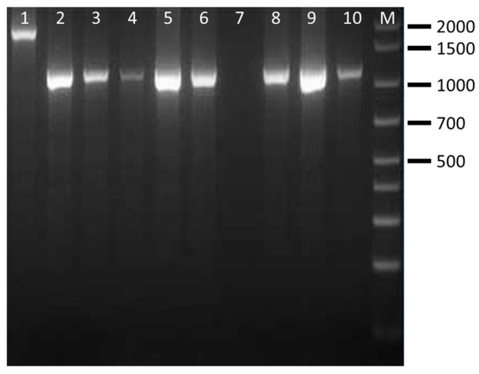 Figure 4