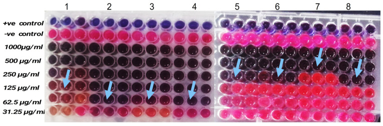 Figure 5