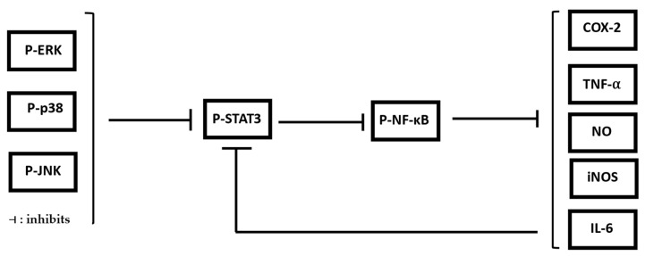 Figure 8
