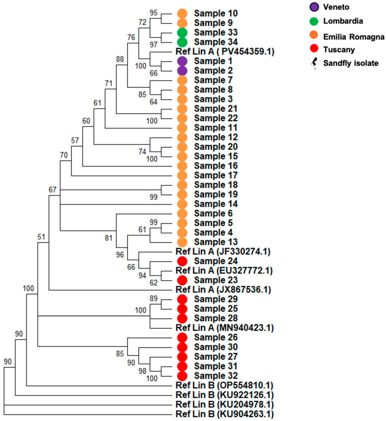 Figure 2