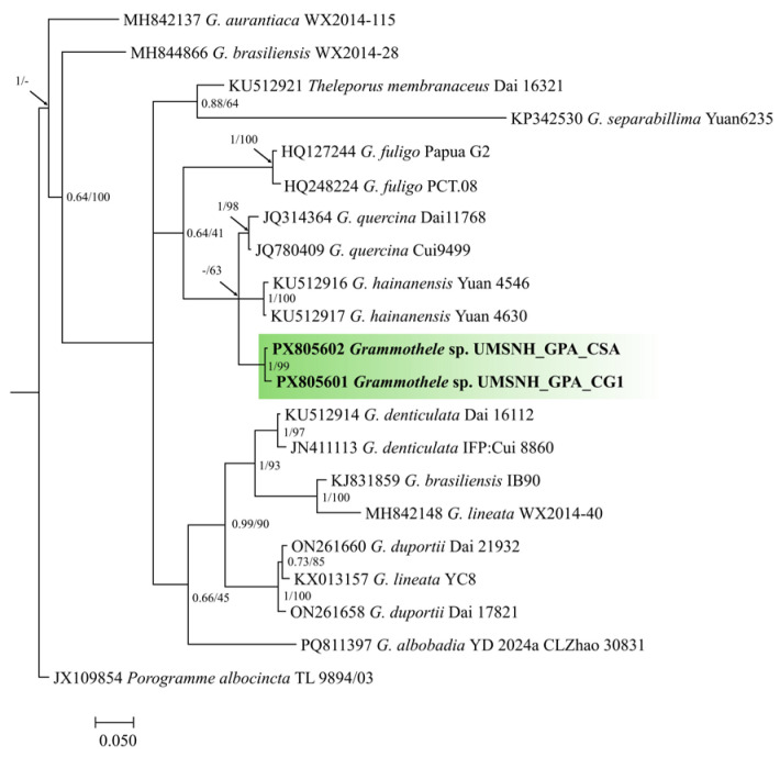 Figure 4