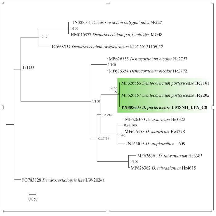 Figure 5