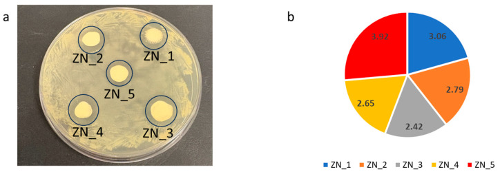Figure 12