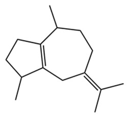 Figure 24