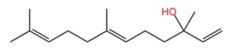 Figure 31