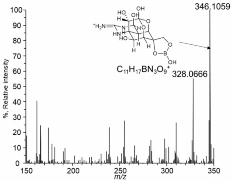 Figure 12