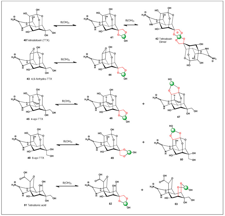 Figure 13
