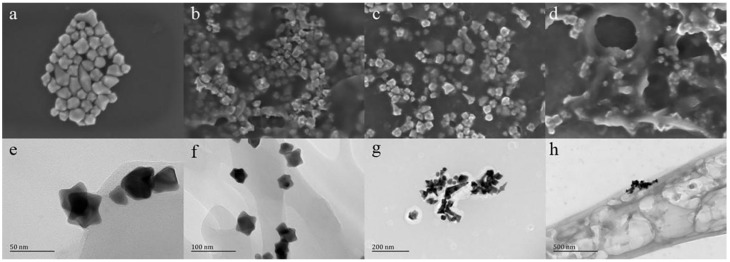 Figure 9
