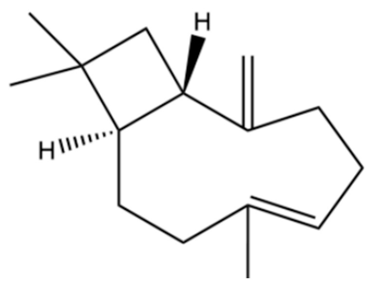 Figure 34