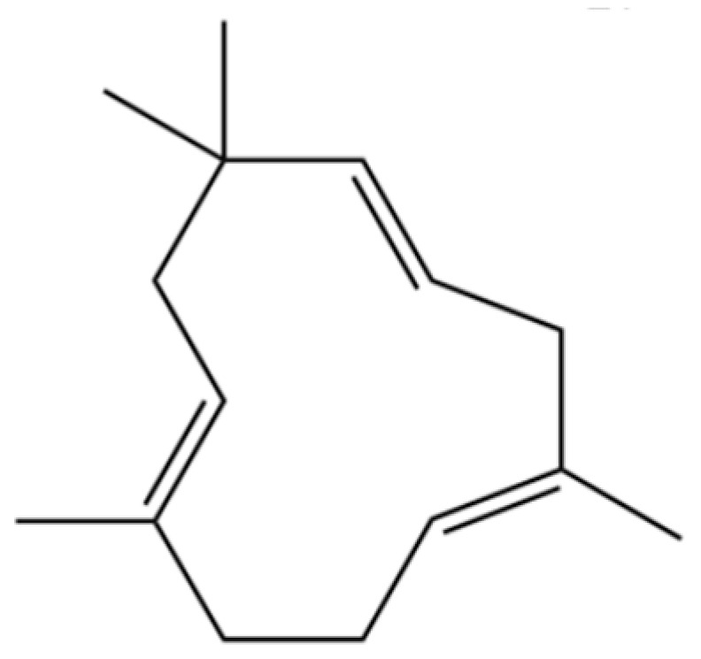 Figure 39