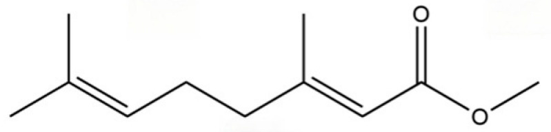 Figure 41