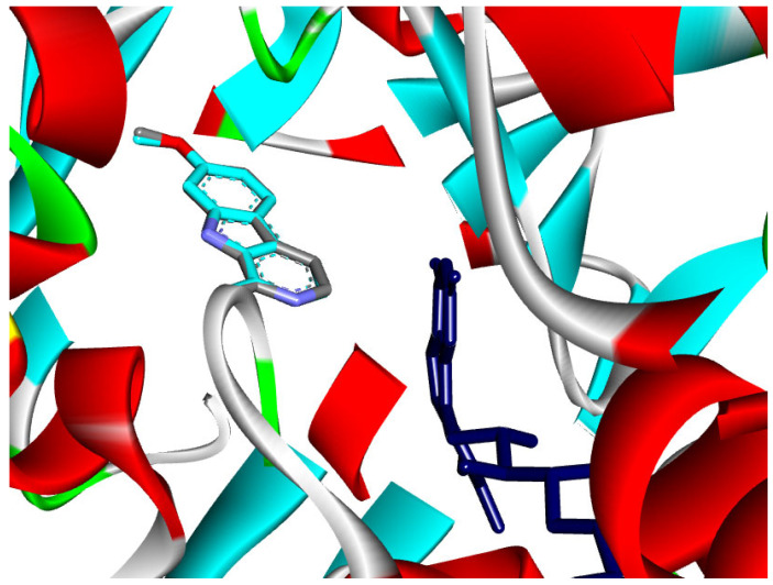 Figure 8