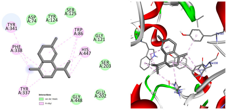 Figure 10