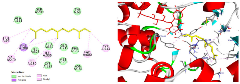 Figure 13