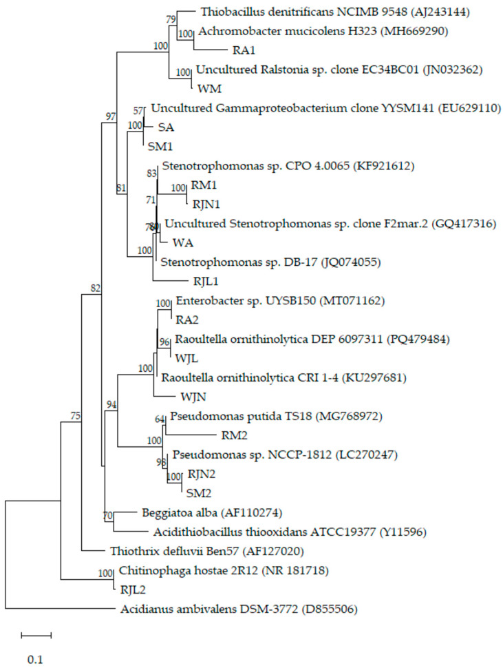 Figure 2