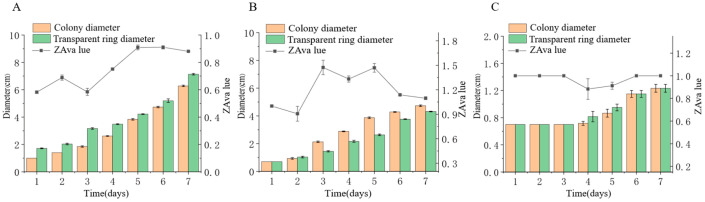 Figure 11