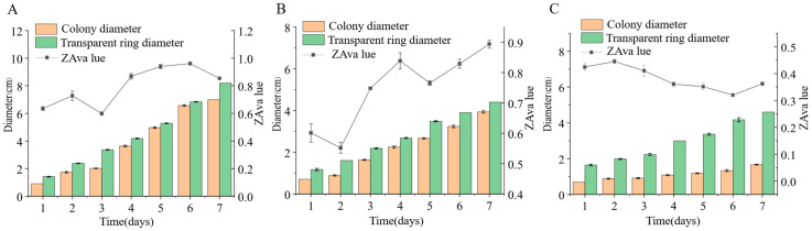 Figure 13