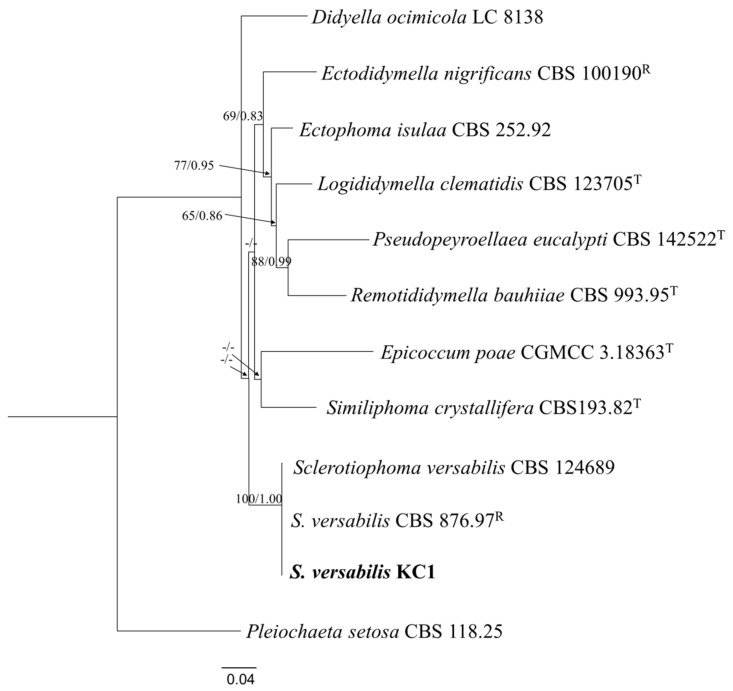 Figure 4