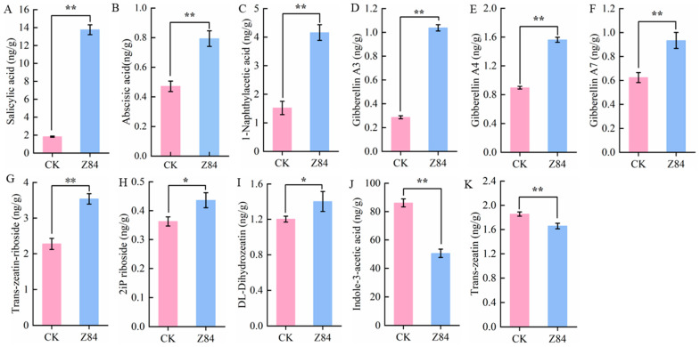 Figure 9