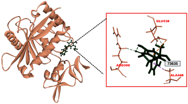 Figure 3