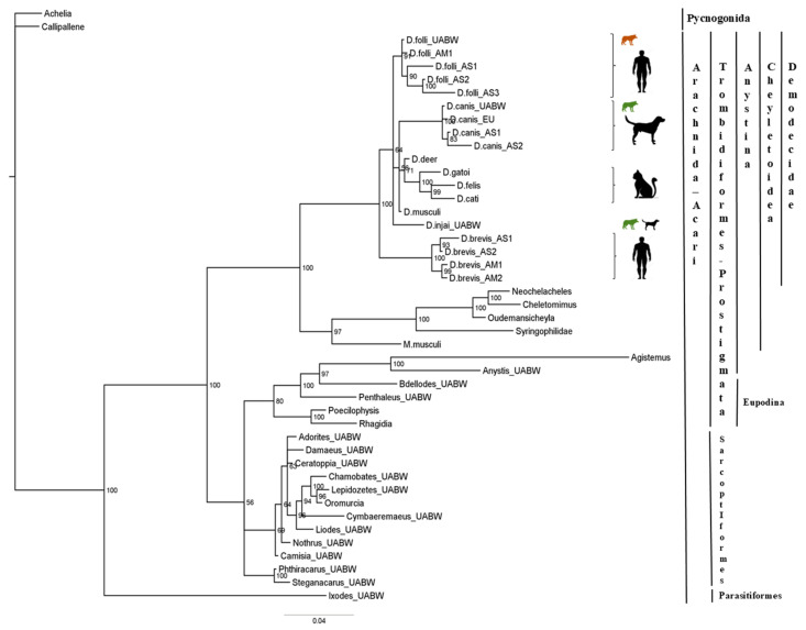 Figure 2