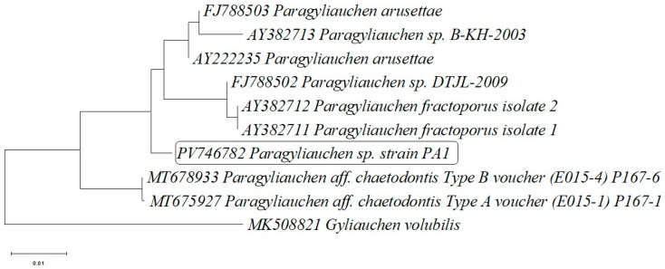 Figure 2