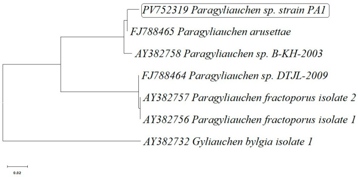 Figure 3