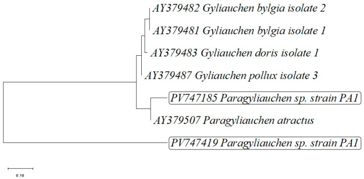 Figure 4