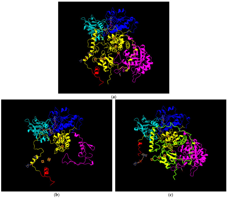 Figure 4