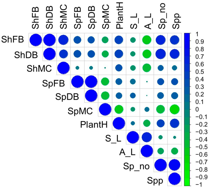 Figure 11