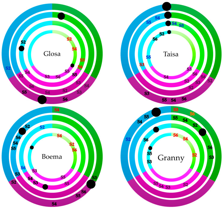 Figure 13