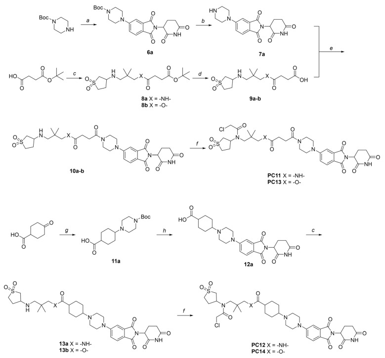 Scheme 2