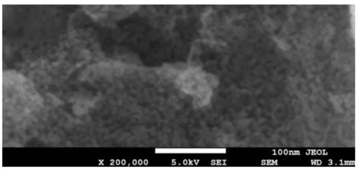 Figure 13