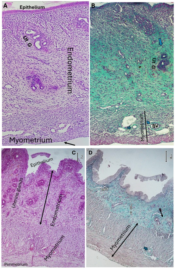 Figure 7