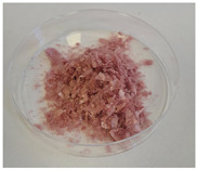 Figure 13