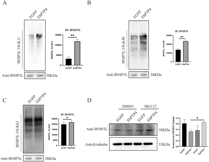 Fig 8
