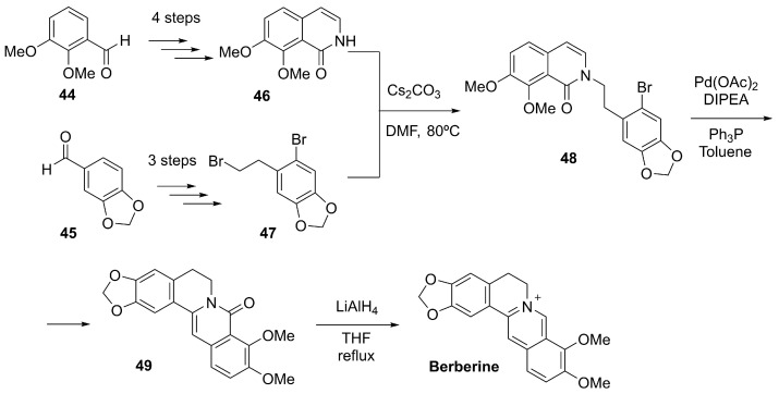 Figure 24