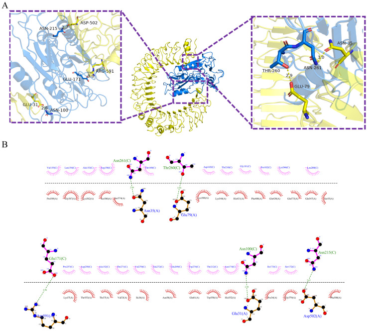 Figure 6